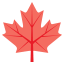 🍁