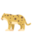 🐆