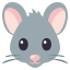 🐭