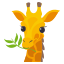 🦒