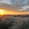 LESBEN am MEER SYLT Maitreff coronakonform
