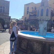 Sunflower08