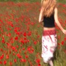 Blauer_Mohn
